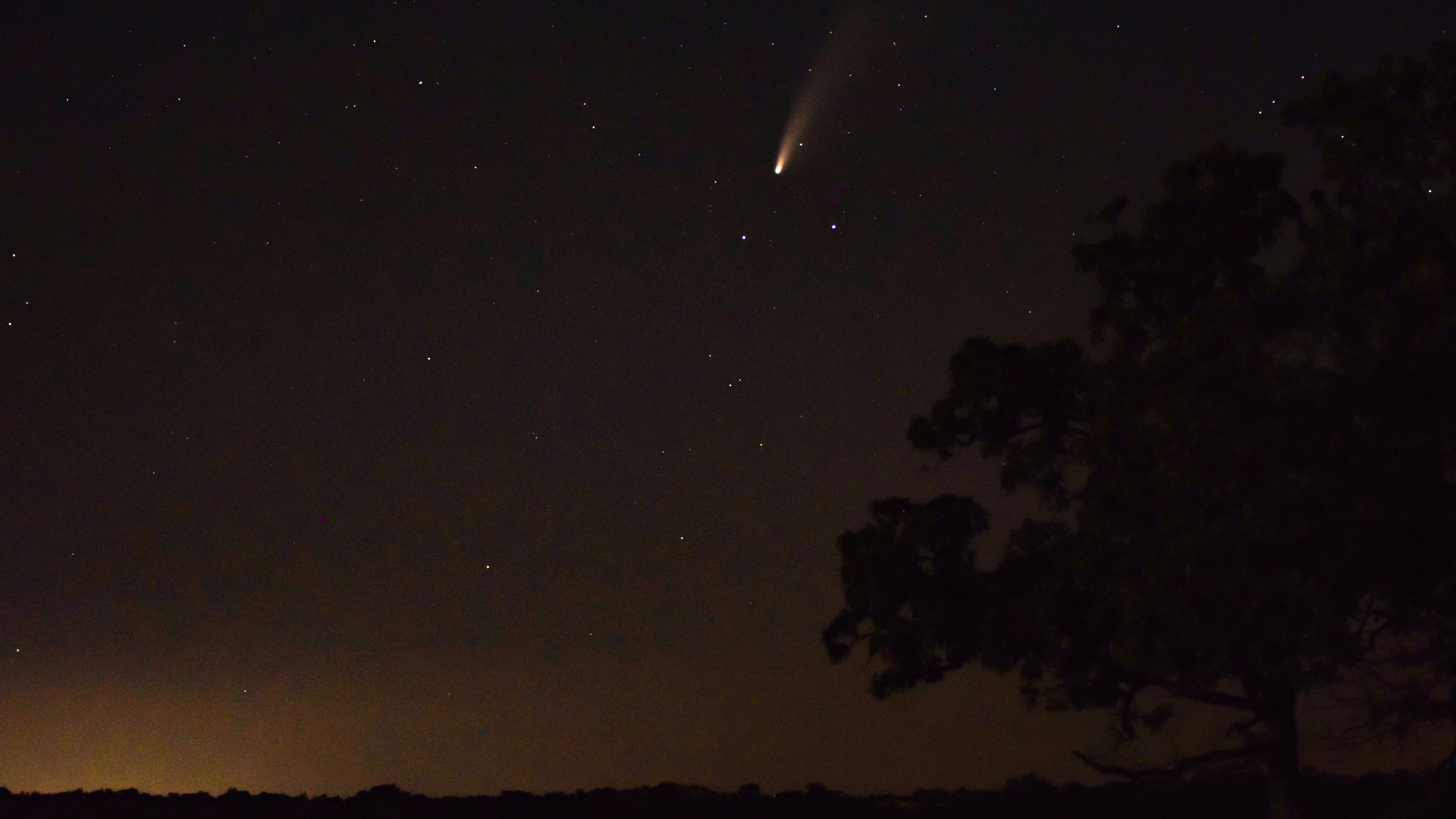 Nikki Branstetter Photography NEOWISE Comet